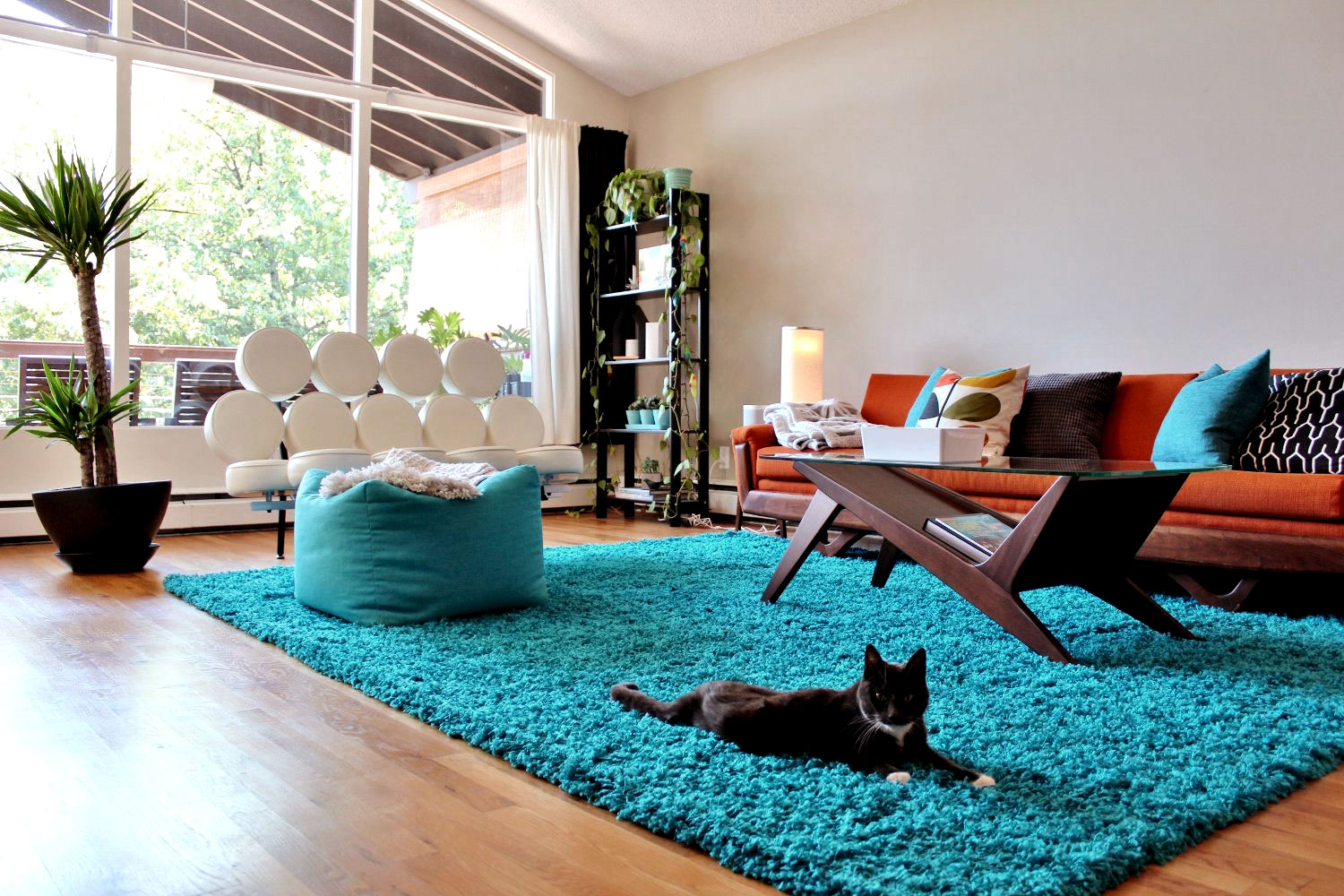 Scene of a living room with a tuxedo cat laying on a blue shag rug